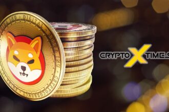 Shiba Inu Coin's Burning Surge Amid Market Downturn